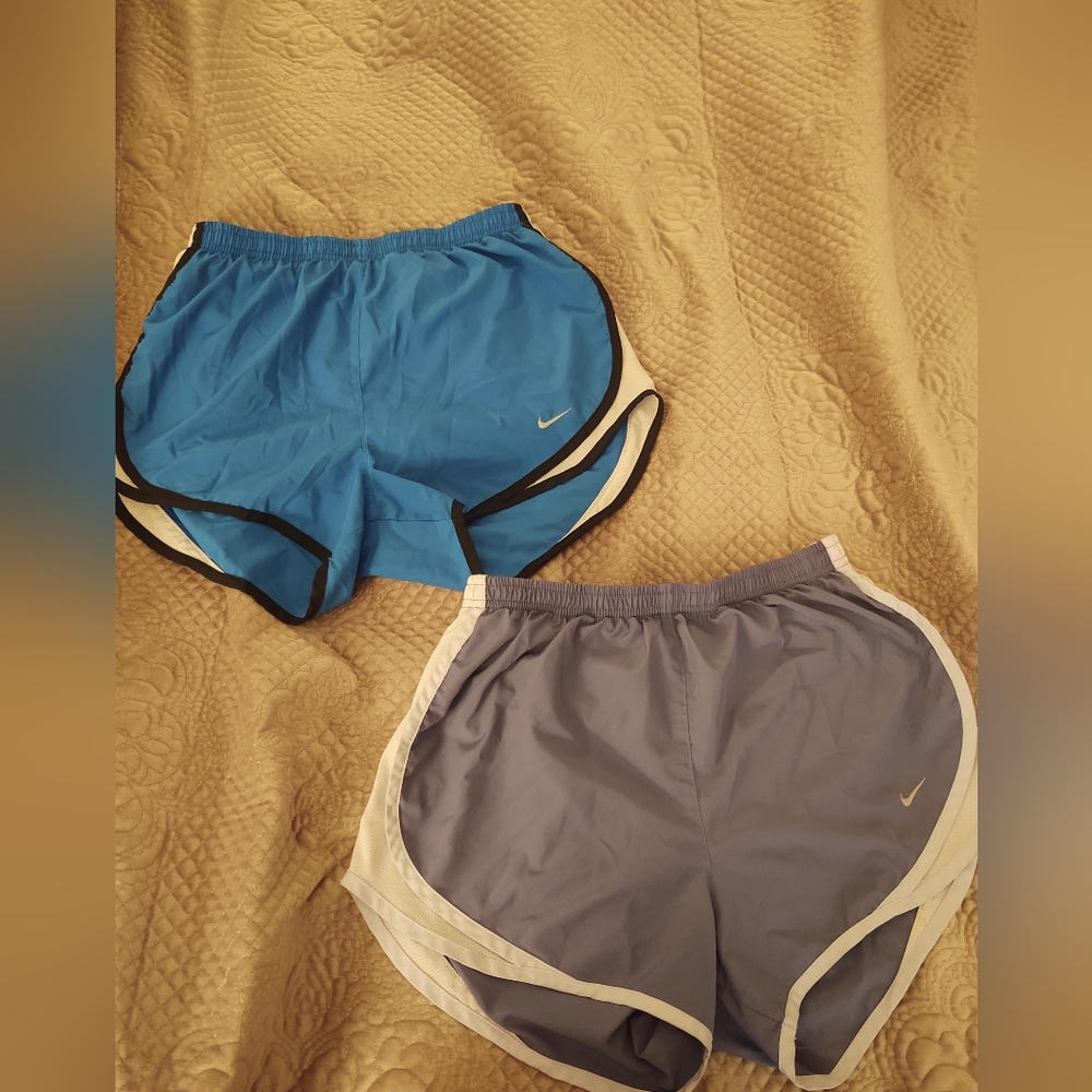 Nike Shorts Lot of 2